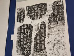 -凤凰中心