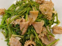 芫爆鱿鱼卷-东兴楼饭庄(六里桥店)