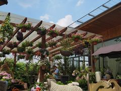 -大隐花事(熊婆婆的花园店)