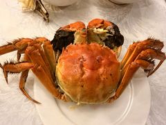 -新光酒家方亮蟹宴(黄浦店)