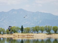 -野鸭湖国家湿地公园