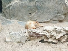 -广州长隆飞鸟乐园
