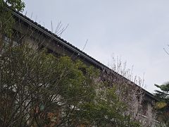 -宁波溪口古镇-民国大杂院