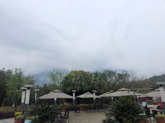 -雅安楠水阁温泉酒店