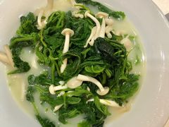 浓汤野菌泡时蔬-广州塔晖粤轩中餐厅