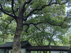 -惠山古镇·寄畅园