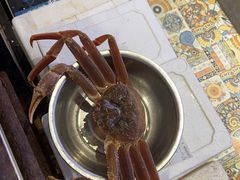 -77号渔船·蒸海鲜青岛菜(积米崖店)