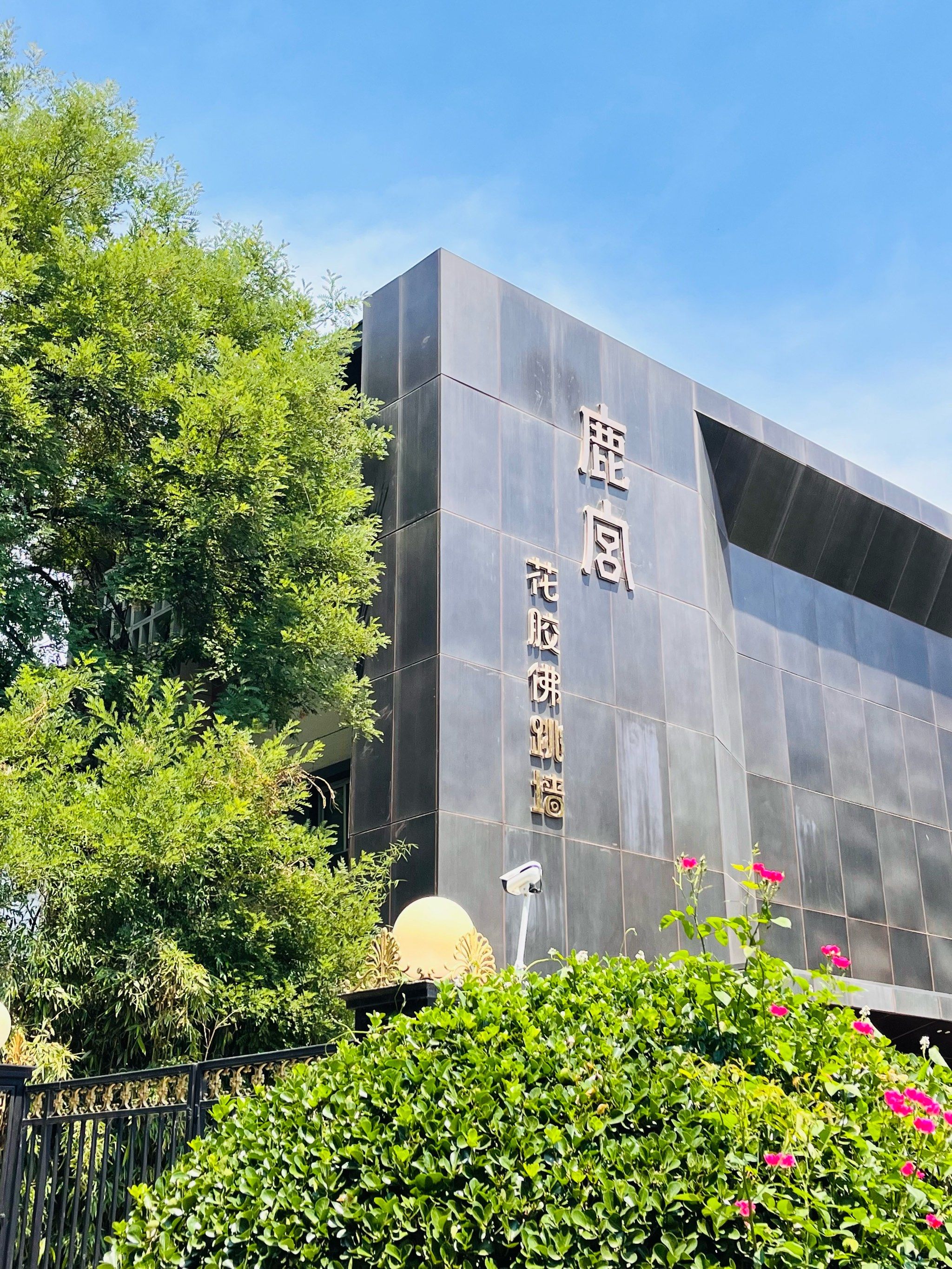 北京市海淀区北蜂窝路102号(北京铁道大厦院内左侧一层)