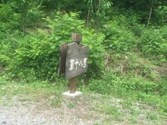 -天女山森林公园