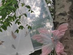 -杭州植物园