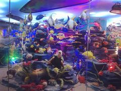 iphone_upload_pic-成都泰迪熊博物馆