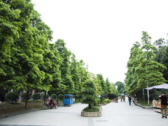 -郫都区农科村景区