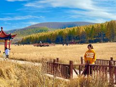 -塞罕坝国家级自然保护区