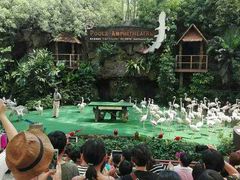 -新加坡飞禽公园