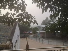 -泉州海丝野生动物世界