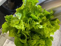 -古乐牛香·鲜牛肉牛杂火锅(吴江三里桥运东商业广场店)