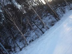 -亚布力新体委滑雪场