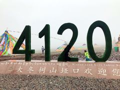 -大冬树山垭口