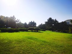 -日照灯塔风景区