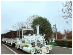 环岛小火车-橘子洲景区