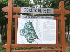 -东郊湿地公园