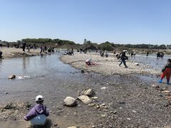 -绿堤公园