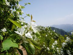 -秦岭风景区