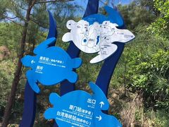 -广东惠东海龟国家级自然保护区