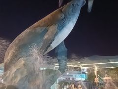 -海合安武汉极地海洋公园