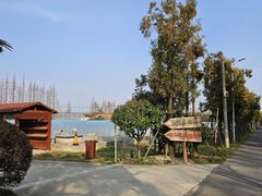 -上海长兴岛郊野公园