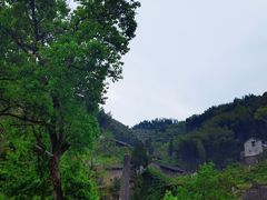 -MOJ coffee(瓯海泽雅水碓坑店)