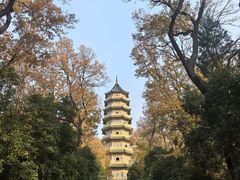 -灵谷景区