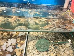 -仙螺岛海鲜自助餐厅(总店)