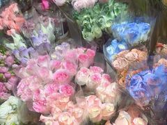 -循礼门鲜花花市(武汉循礼门店)