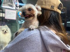 -FAELING PETS美天灵宠物(富力广场店)