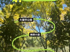 -大望京公园