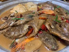 东来烧杂鱼-东来菜馆•手抓海鲜家常菜•海鲜锅贴(鸽子窝店)