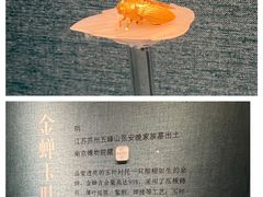 -南京博物院