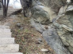 -北京西山国家森林公园