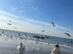 -老虎石海上公园