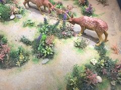 -北京麋鹿生态实验中心