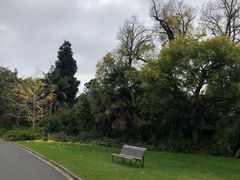 -墨尔本皇家植物园