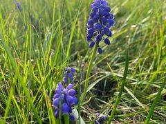 -昆山城市生态森林公园