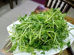 豆苗-木萨火锅店(开鲁路店)