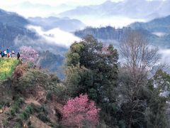 -石潭村