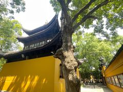 -西园戒幢律寺