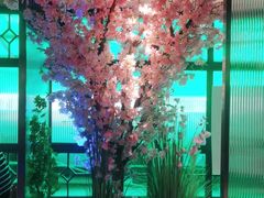 -野妹火锅(龙岗店)