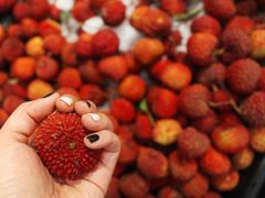 -鑫嘉汇购物中心