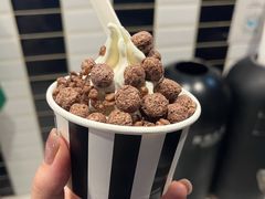 -JW德国冻酸奶Frozen Yogurt(龙湖成都滨江天街店)