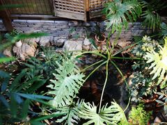 -聚缘堂·海鲜私房菜(松岭路店)
